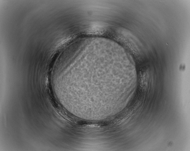 X0000098220692200805081158