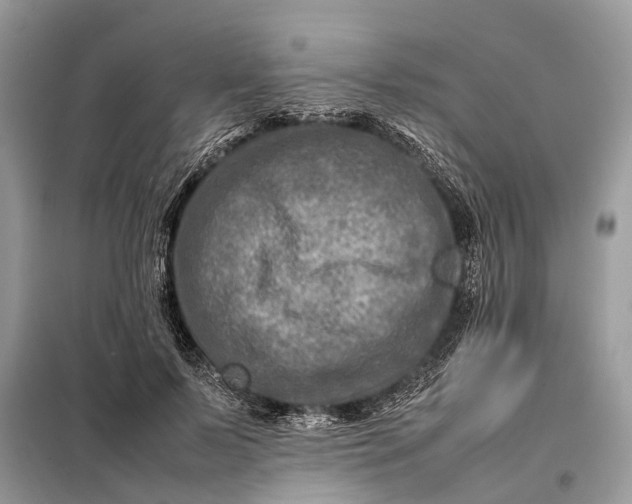 X0000098220695200805081158