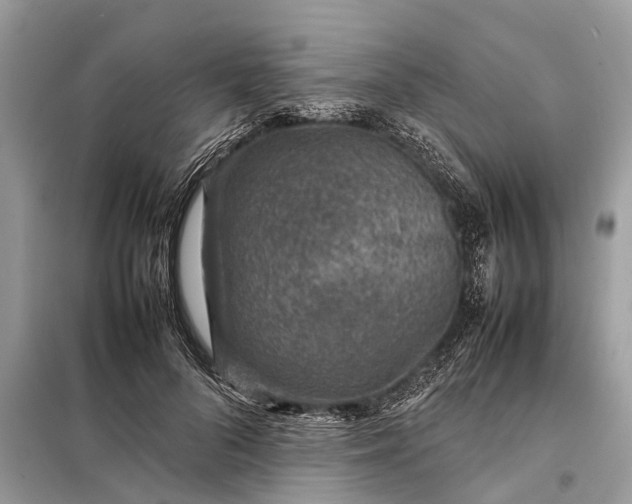 X0000098220696200805081158