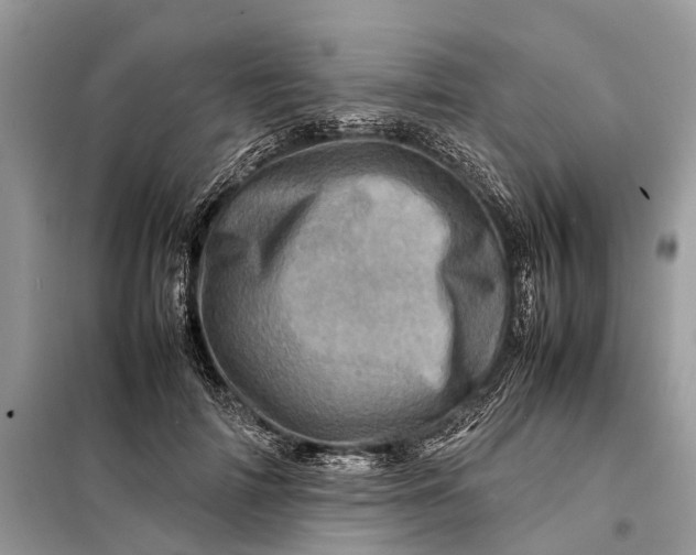 X0000098220698200805081158