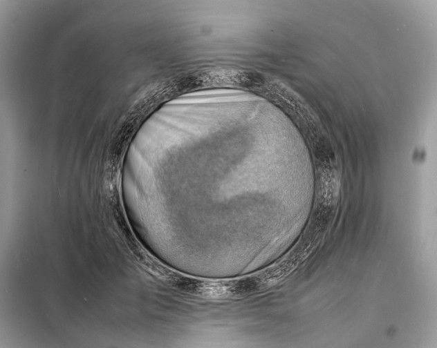 X0000098220701200805081158