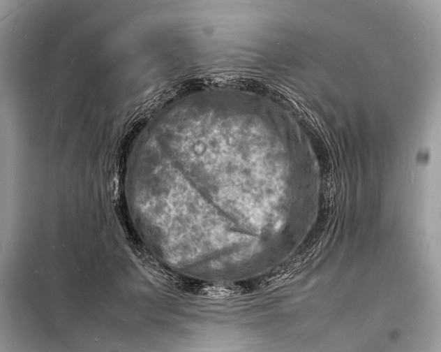 X0000098220703200805081158