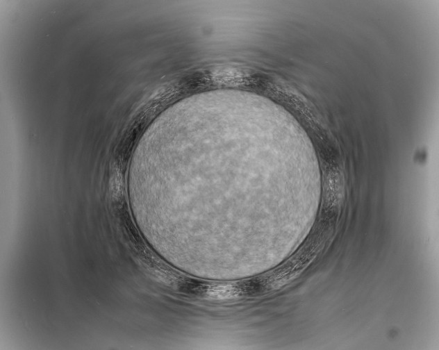 X0000098220705200805081158