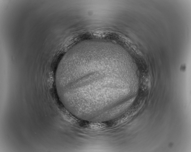 X0000098220707200805081158