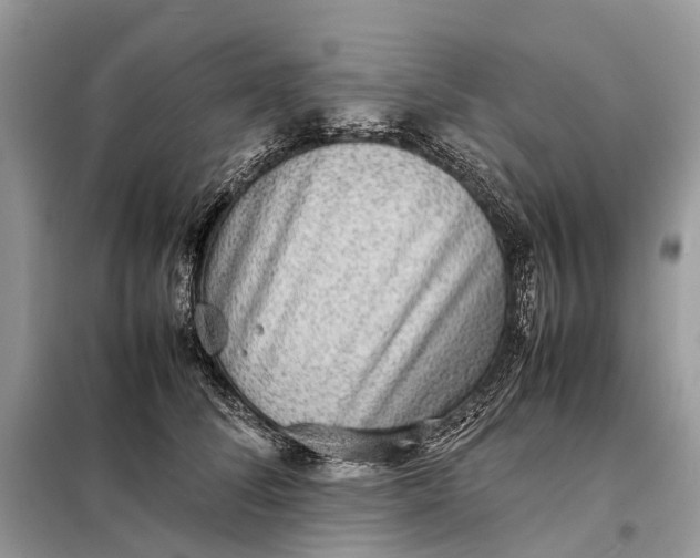 X0000098220708200805081158