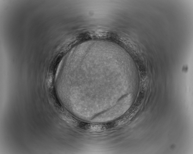 X0000098220709200805081158