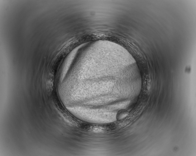 X0000098220710200805081158