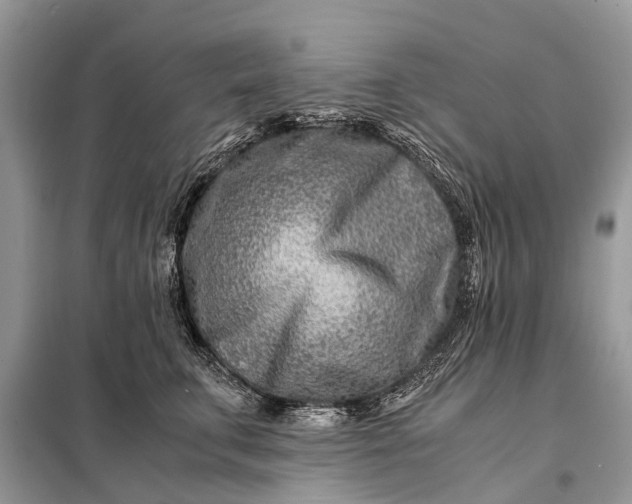 X0000098220711200805081158