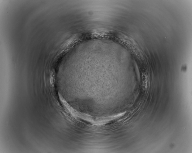 X0000098220712200805081158