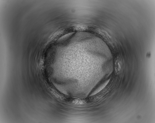 X0000098220714200805081158