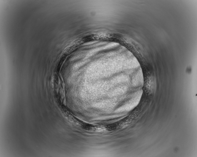 X0000098220715200805081158