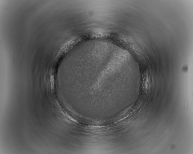 X0000098220716200805081158