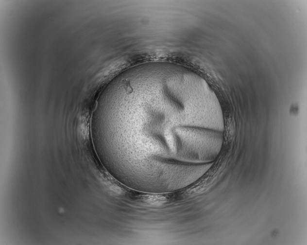 X0000098220719200805081158