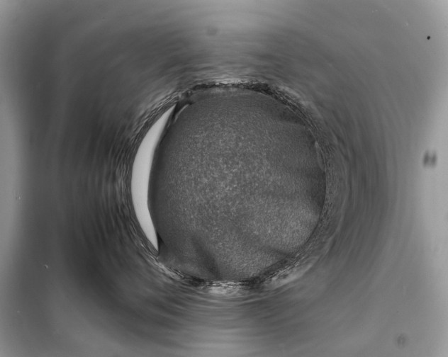 X0000098220720200805081158