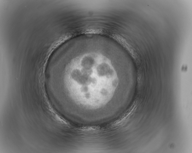 X0000098220721200805081157