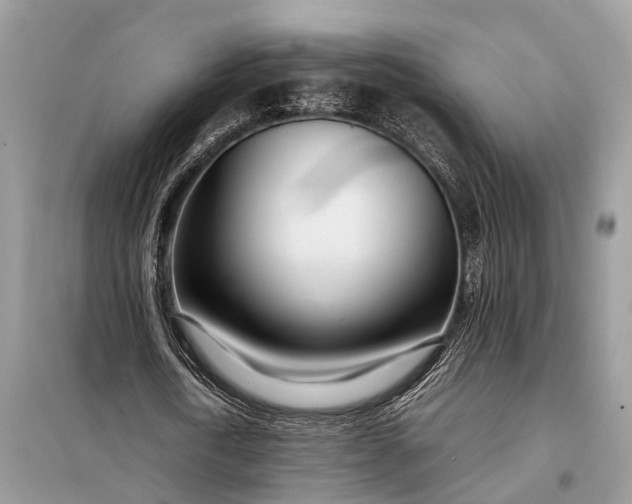 X0000098220722200805081157