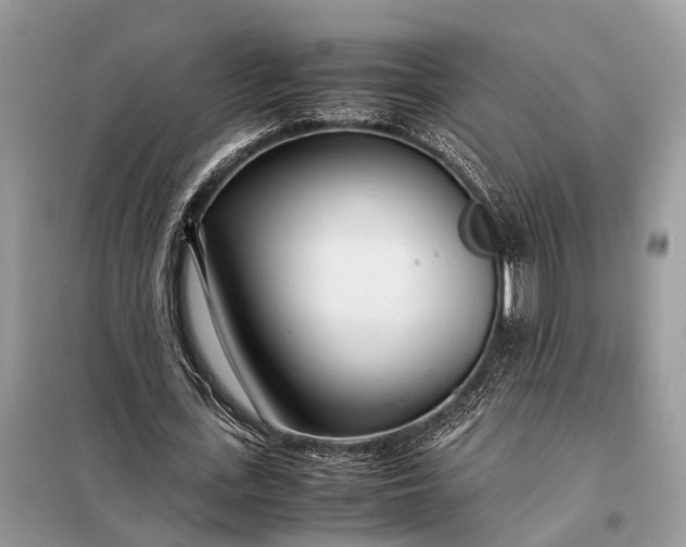 X0000098220723200805081157