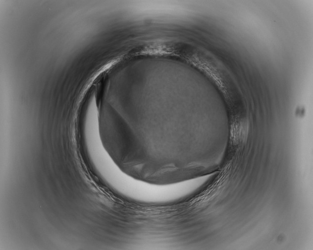 X0000098220724200805081157