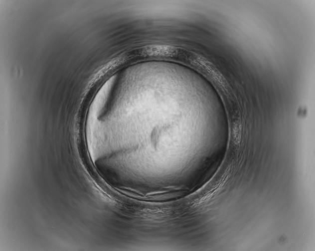 X0000098220725200805081157