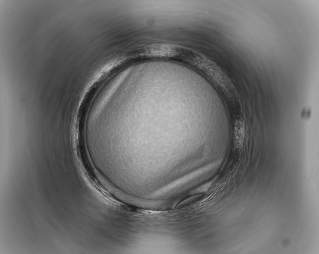 X0000098220726200805081157