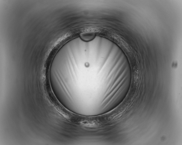 X0000098220727200805081157