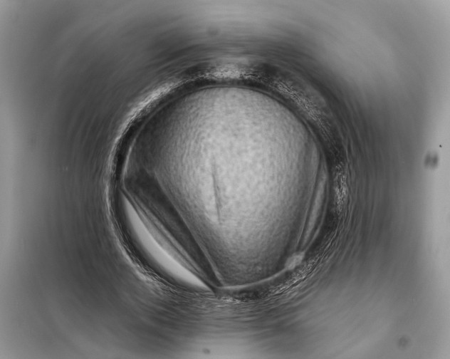 X0000098220728200805081157