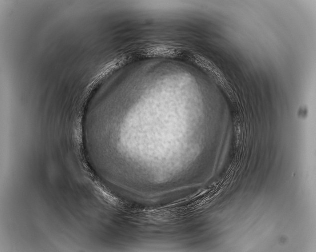 X0000098220729200805081157