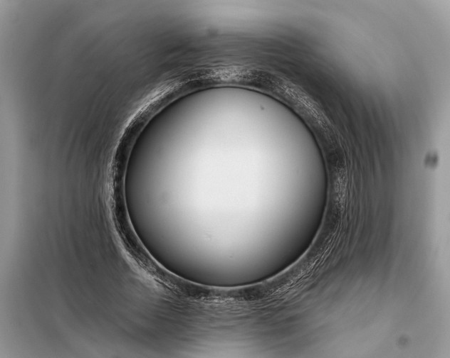 X0000098220730200805081157