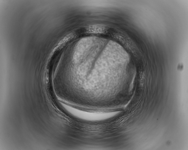 X0000098220731200805081157