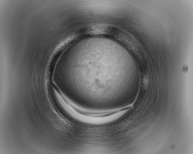 X0000098220732200805081157