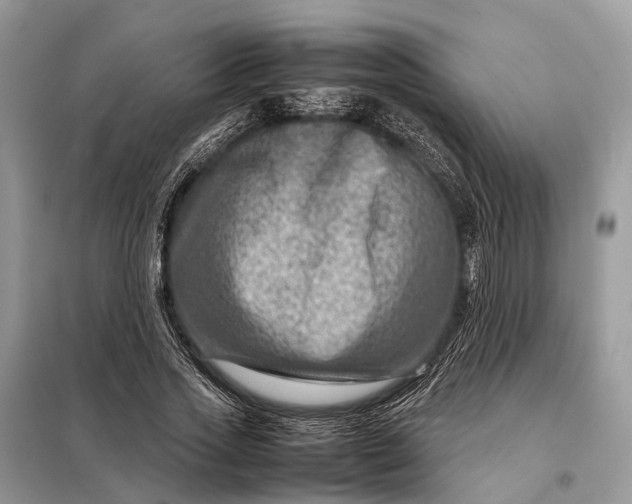 X0000098220733200805081157