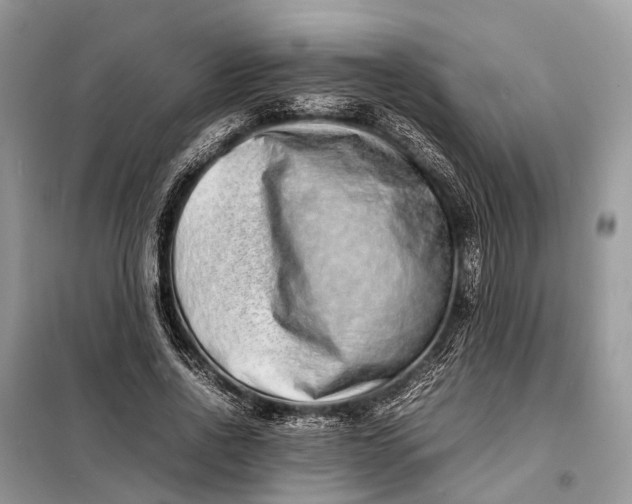 X0000098220734200805081157