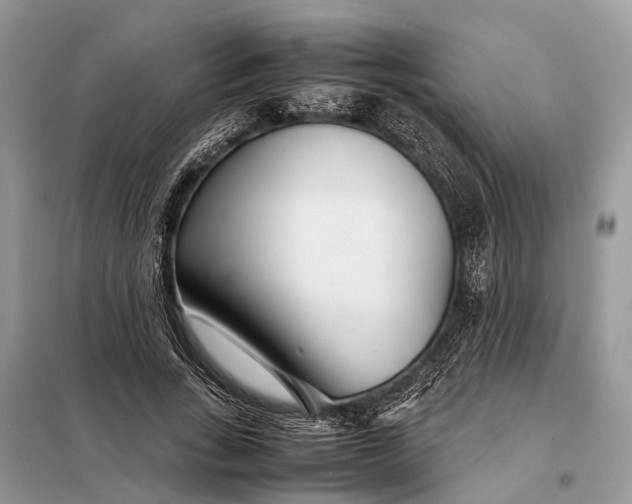 X0000098220735200805081157