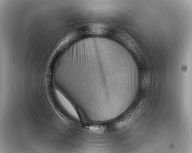 X0000098220736200805081157