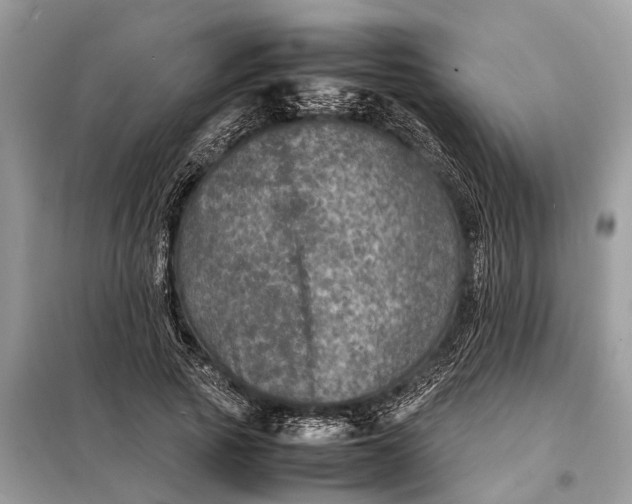 X0000098220737200805081157