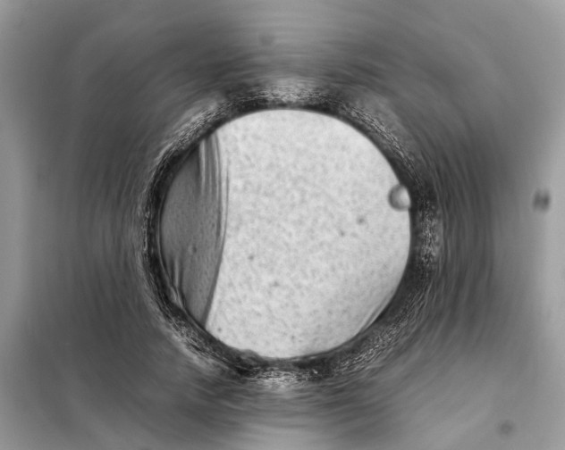 X0000098220738200805081158