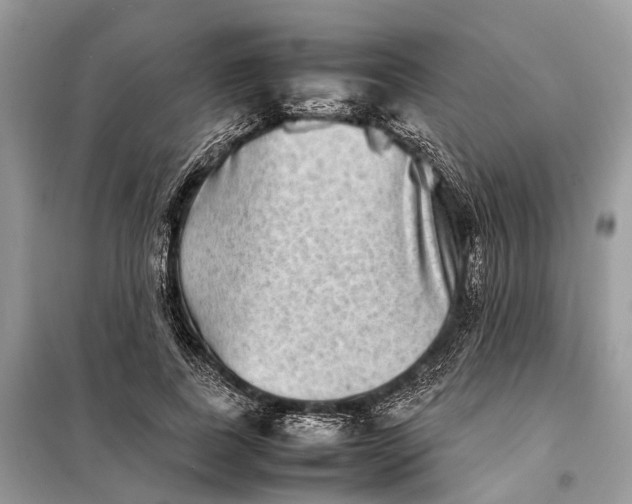 X0000098220739200805081158