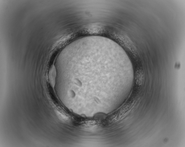 X0000098220740200805081158