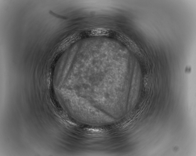 X0000098220741200805081158