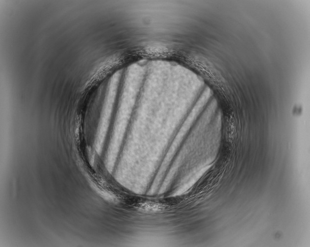 X0000098220742200805081158