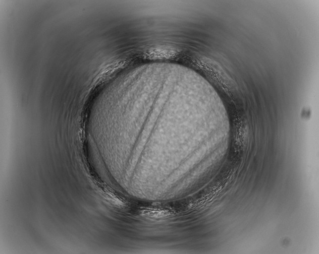 X0000098220743200805081158