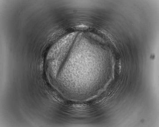 X0000098220745200805081158