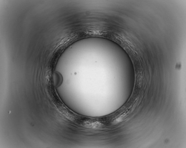 X0000098220747200805081158