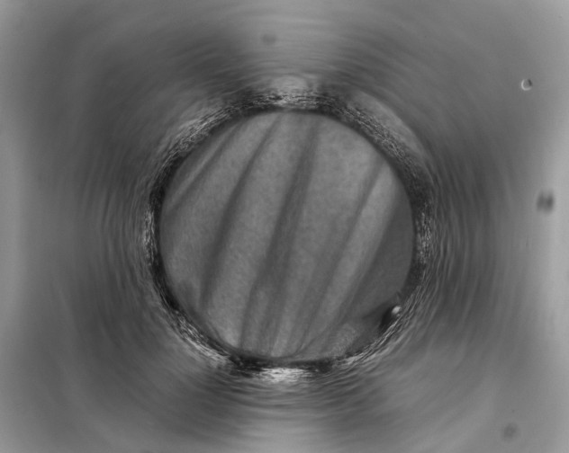 X0000098220748200805081158