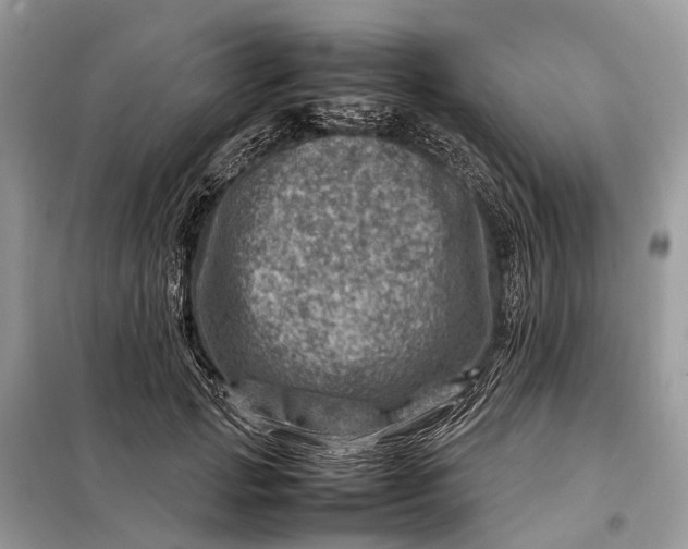 X0000098220749200805081158