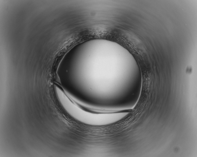 X0000098220750200805081158