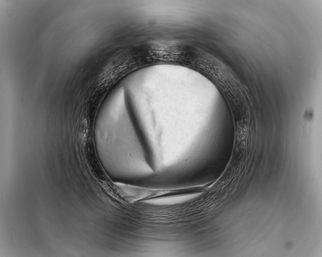 X0000098220752200805081158