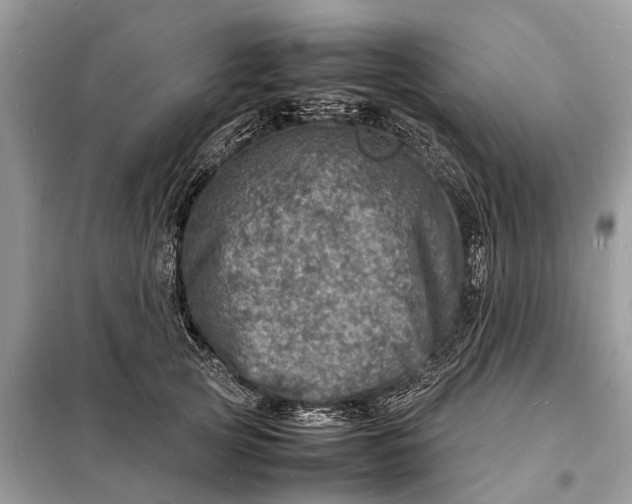 X0000098220753200805081158