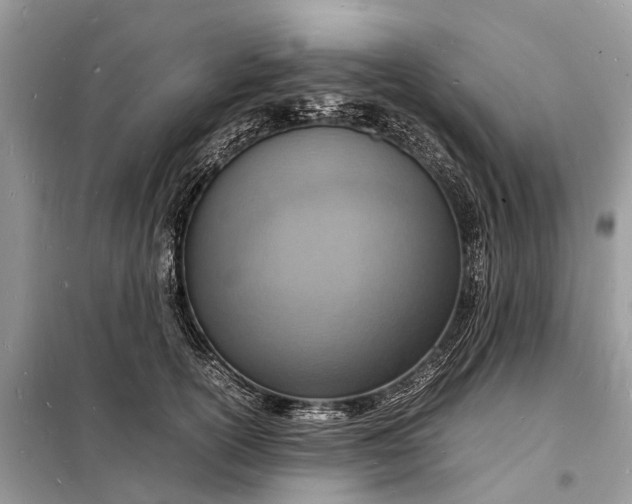 X0000098220754200805081158