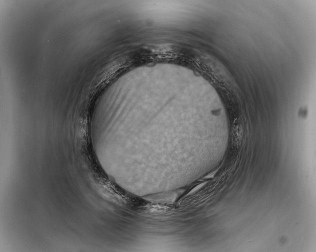 X0000098220756200805081158